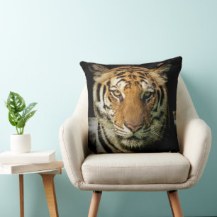 tiger kudde