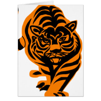 TIGER KUNGEN AV DJUNGELN OBS KORT