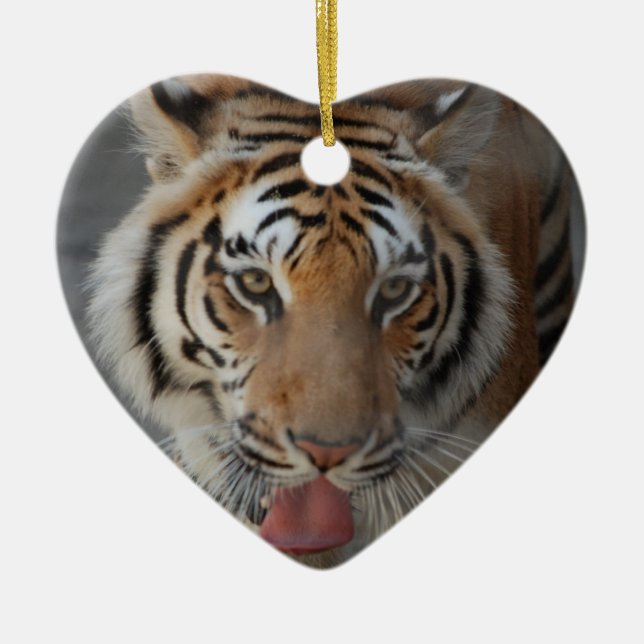 Tiger Kyss Ornament (Framsidan)