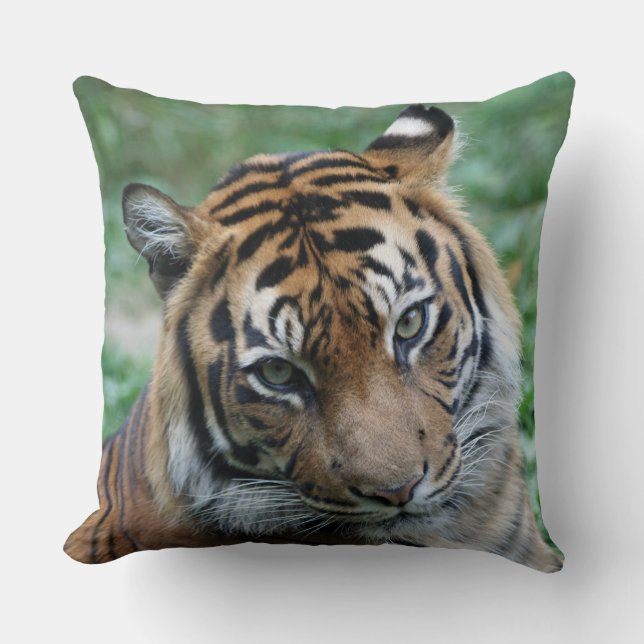 Tiger lämnat och höger 002 kudde (Framsida)