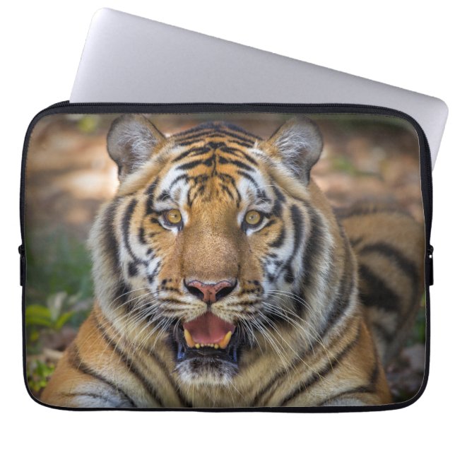 Tiger Laptop sleeve (Framsidan)