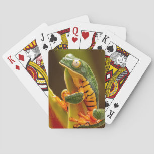 Tiger Leg Monkey Träd groda Casinokort