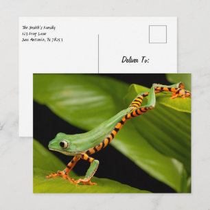 Tiger Leg Monkey Tree Frog Postkort Vykort