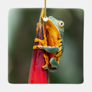 Tiger Leged Monkey Träd Frog Grönt Orange Julgransprydnad Keramik