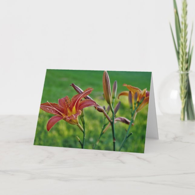 Tiger Lilies Kort (Framsida)
