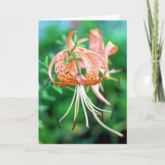 Tiger lilies kort (Framsida)
