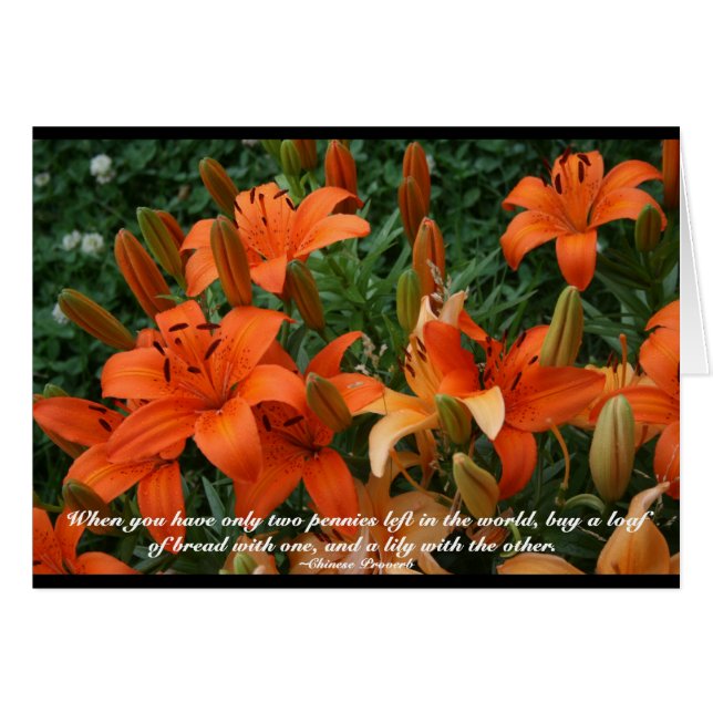 Tiger Lilies Motivations Note Card OBS Kort (Framsidan Horizontal)
