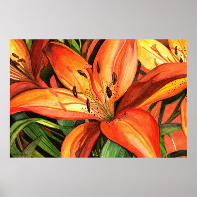 Tiger Lilies Poster (Framsidan)