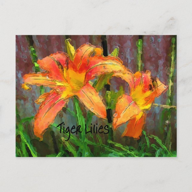 Tiger Lilies Vykort (Framsida)