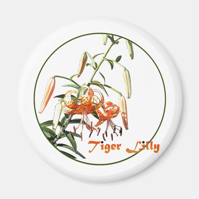 Tiger Lilly Magnet (Framsidan)