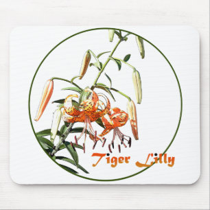 Tiger Lilly Musmatta