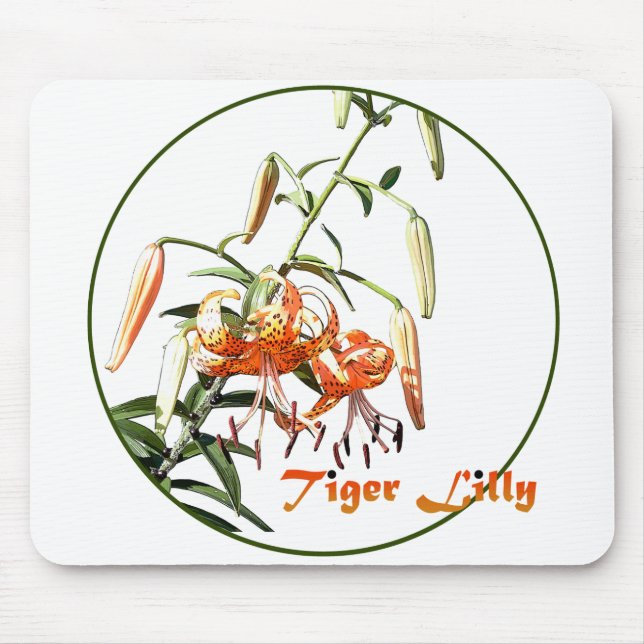 Tiger Lilly Musmatta (Framsidan)