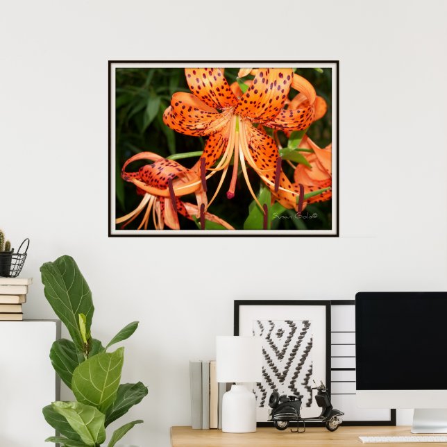 Tiger Lily Blomsterträdgård Poster (Hemmakontoret)