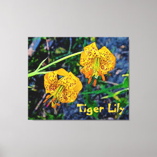 Tiger Lily Canvastryck