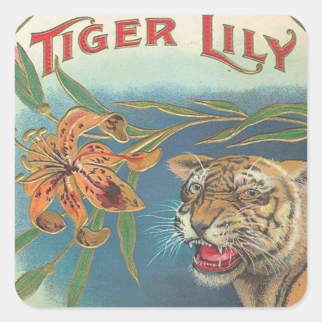 Tiger Lily Fyrkantigt Klistermärke (Framsida)