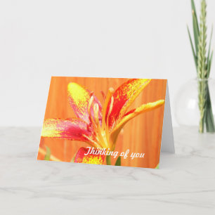 Tiger Lily Greeting Cards Kort