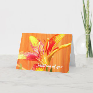 Tiger Lily Greeting Cards Kort