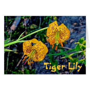Tiger Lily Hälsningskort