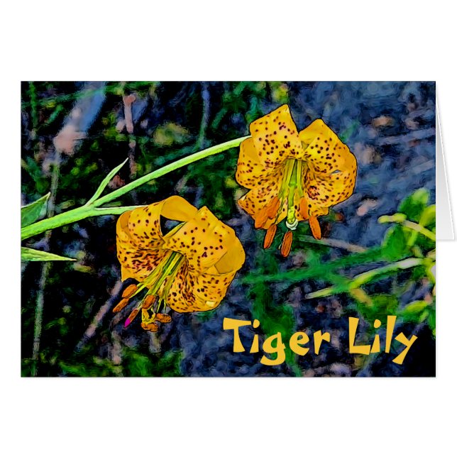 Tiger Lily Hälsningskort (Framsidan Horizontal)