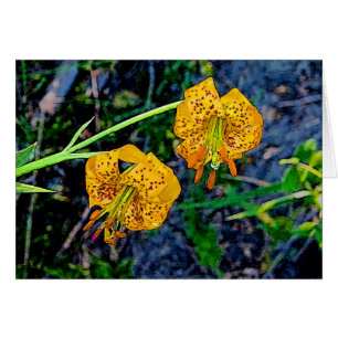 Tiger Lily Hälsningskort