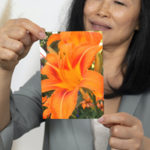 Tiger lily i trädgården kort