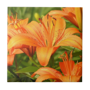 Tiger Lily Kakelplatta