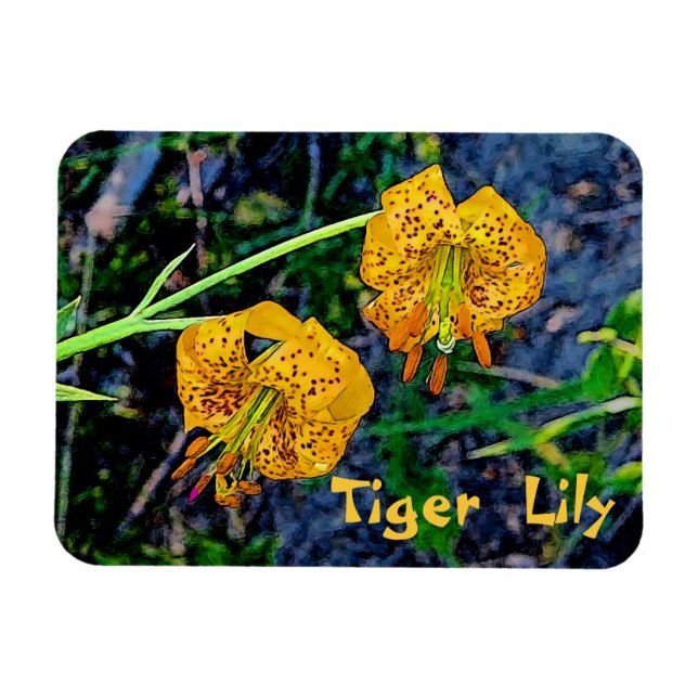Tiger Lily Magnet (Horisontell)