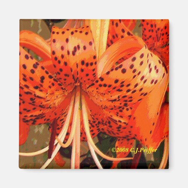 "Tiger Lily" Magnet (Framsidan)