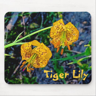 Tiger Lily Musmatta