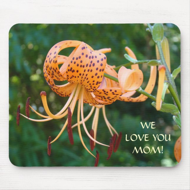 TIGER LILY Musmatta VI ÄLSKAR DIG MAMMA! Gåvor (Framsidan)