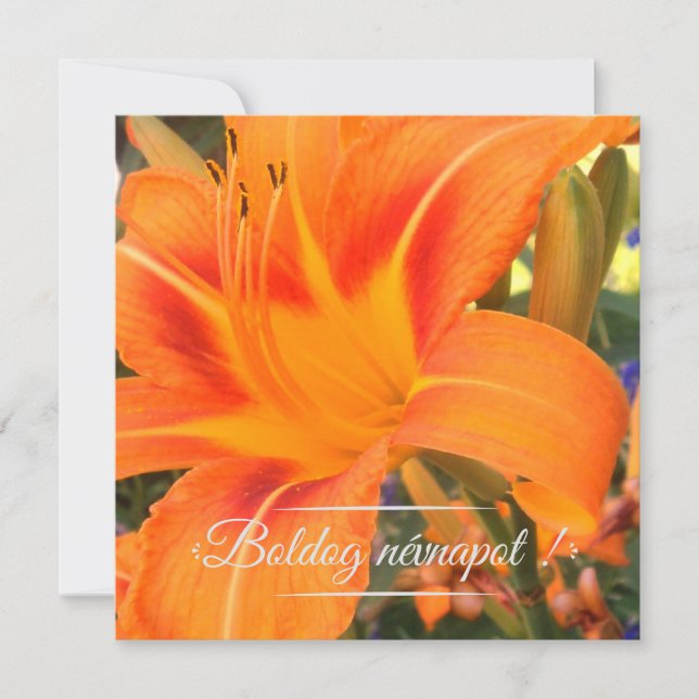 Tiger lily - Namn-dagen  Inbjudningar (Framsida)