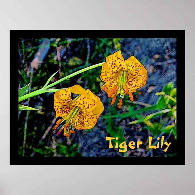 Tiger Lily Poster (Framsidan)