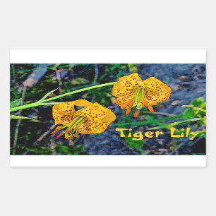 Tiger Lily Rektangulärt Klistermärke