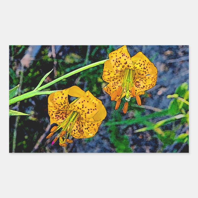 Tiger Lily Rektangulärt Klistermärke (Framsida)