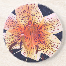 Tiger Lily Sandsten Underlägg