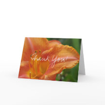 Tiger Lily Tack Vita