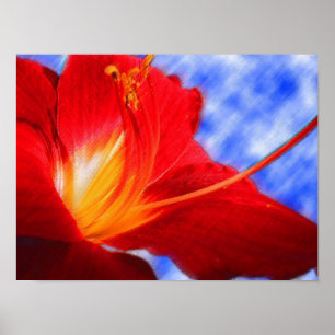Tiger Lily "teckning" Poster