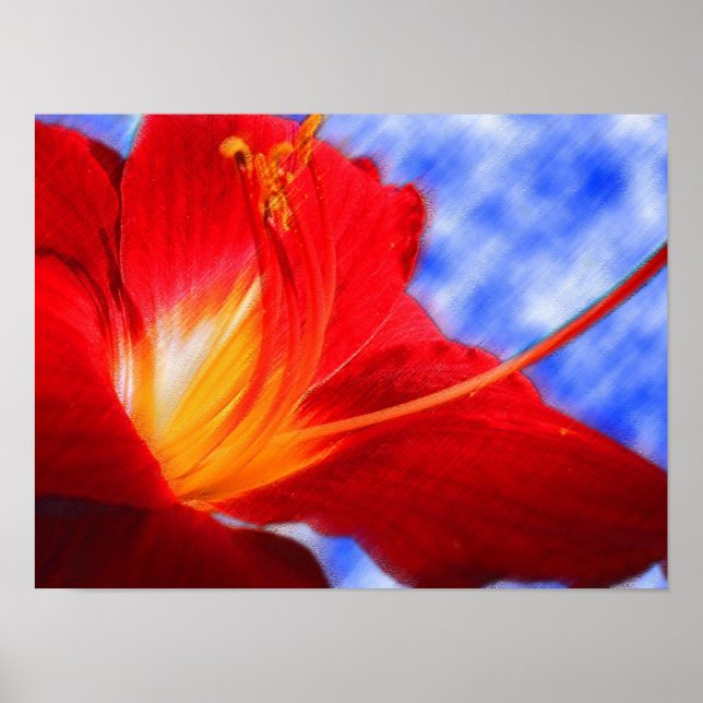 Tiger Lily "teckning" Poster (Framsidan)