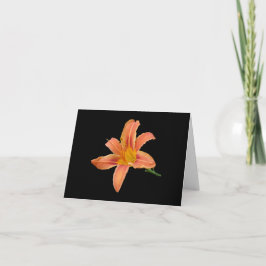 'Tiger Lily' tom kort