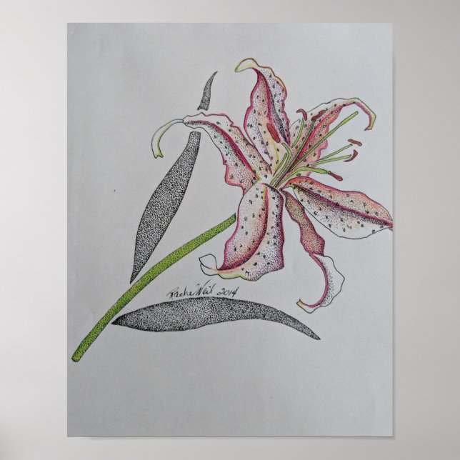Tiger lily, Vild lily, Lily-blomma, Orange konst Poster (Framsidan)