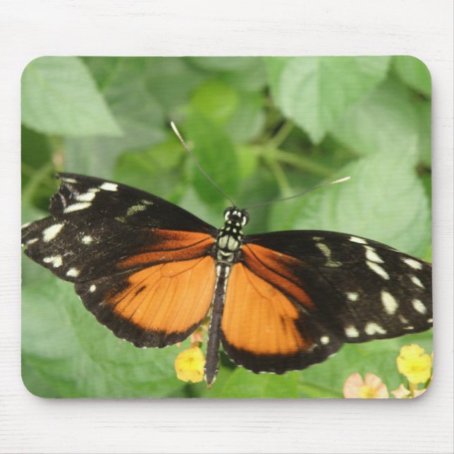 Tiger Longwing Butterfly Mousepad Musmatta (Framsidan)