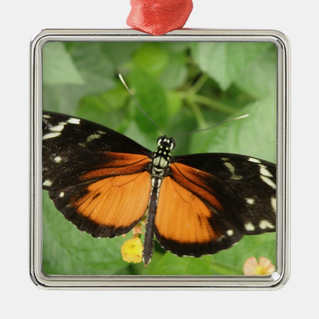 Tiger Longwing Butterfly Ornament (Framsidan)