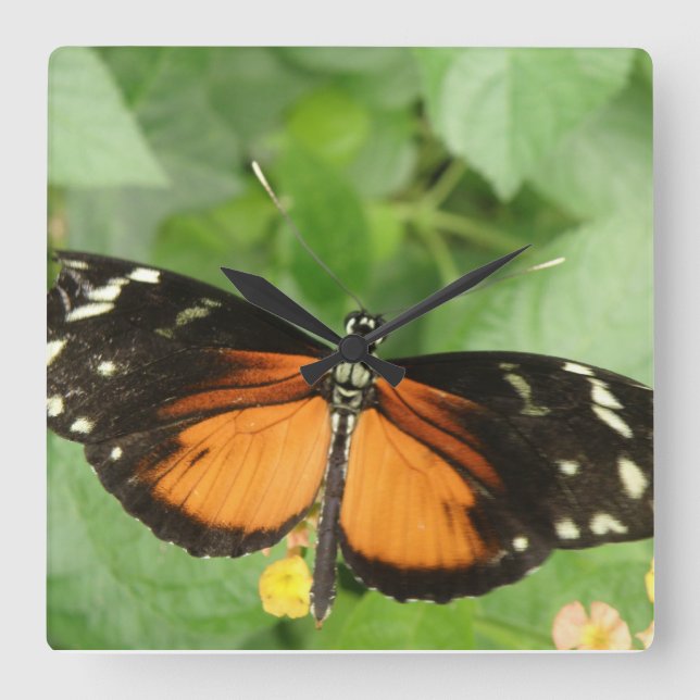 Tiger Longwing Butterfly Wall Clock Fyrkantig Klocka (Framsida)