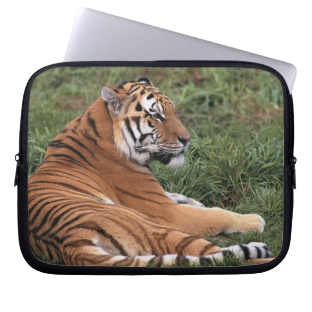 Tiger Lounging Laptop sleeve (Framsidan)