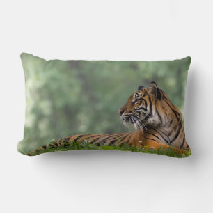 Tiger Lounging under Träd Lumbarkudde