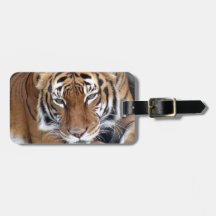 Tiger Luggage Tag