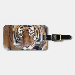 Tiger Luggage Tag Bagagebricka