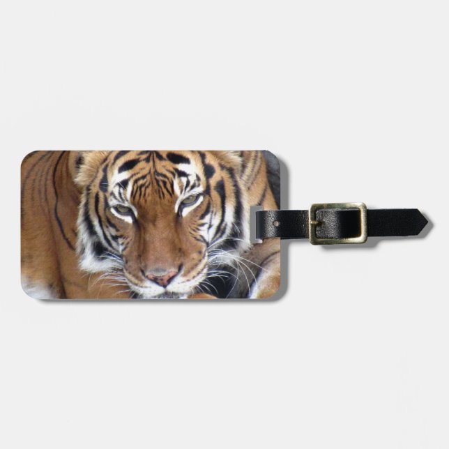 Tiger Luggage Tag Bagagebricka (Horisontell Framsida)