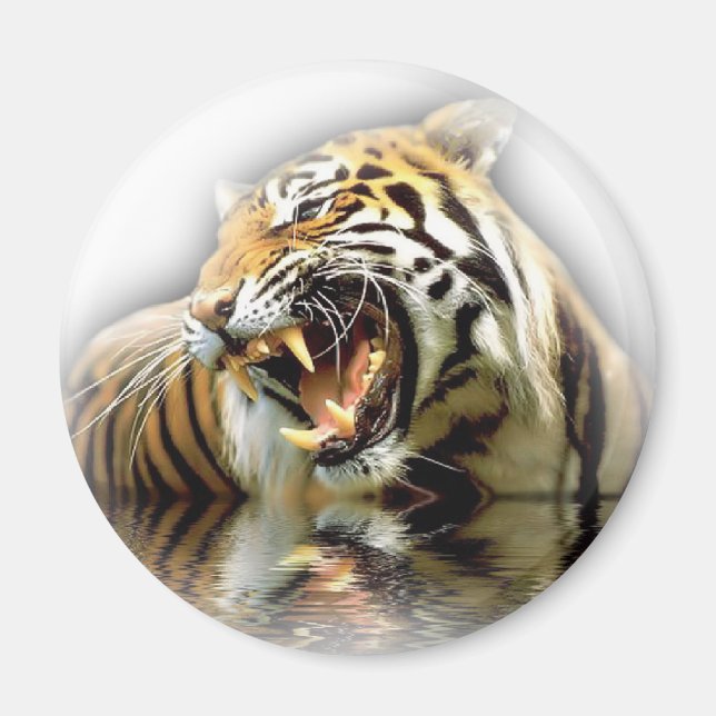 Tiger Magnet (Framsidan)