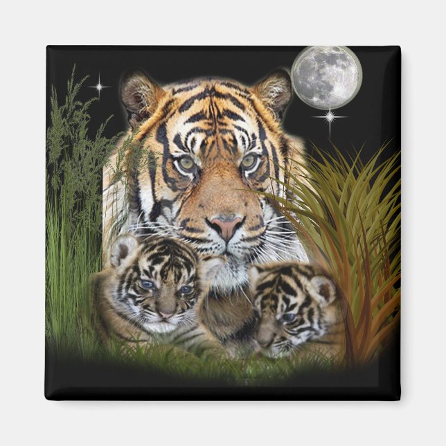 Tiger Magnet (Framsidan)